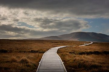 Claggan Mountain Coastal Trail van Bo Scheeringa Photography