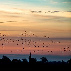 Vogels in de ochtendlucht boven Warstiens van Tilja Jansma