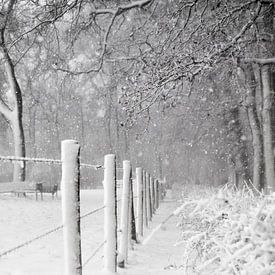 Winter in nederland van Michel Van Zanten