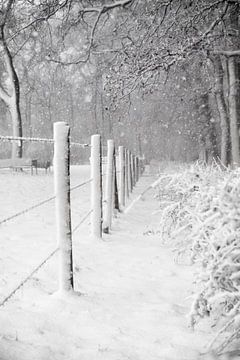 Winter in nederland van Michel Van Zanten