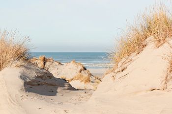 Vue sur la mer entre les dunes de Terschelling