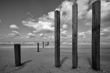 Beach poles at nude beach by Peter Bartelings