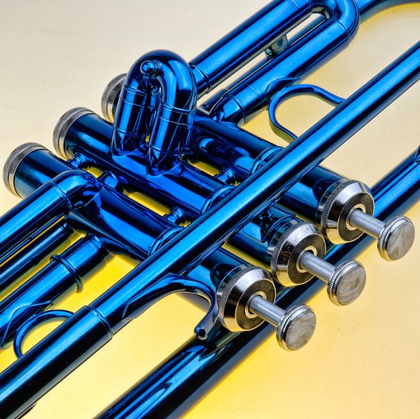 Trompet by Michel Groen