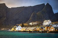 Blick über Sakrisøya, Lofoten, Norwegen von Floris Heuer Miniaturansicht