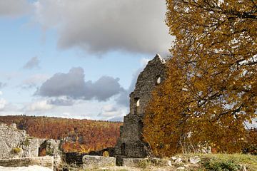 Hohenurach Castle near Bad Urach in autumn Baden Württemberg Germany by Frank Fichtmüller