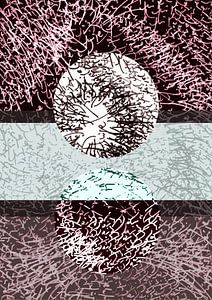 structures écrites avec cercle 1111