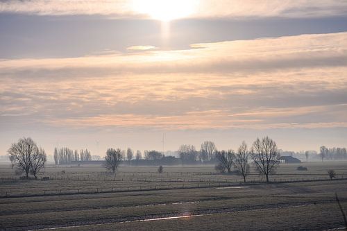 zonlicht over de akkers