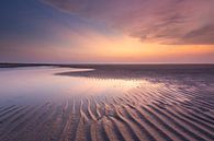 Des côtes dans le sable coloré - Natural Ameland sur Anja Brouwer Fotografie Aperçu