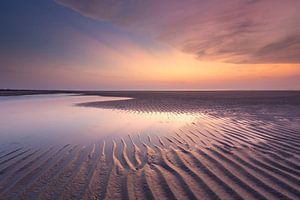 Ribs in the colourful sand - Natural Ameland