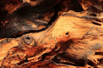 Natürliches Design formt altes Holz