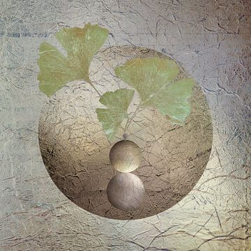 Ginkgo. Gleichgewicht. Grau.