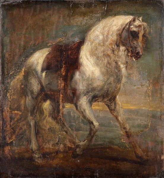 A Grey Horse, Anthony van Dyck by Masterful Masters