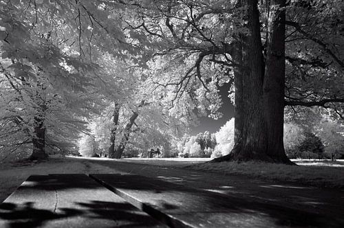 Le domaine de Twickel