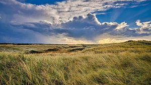 Dune landscape Noordduinen Callantsoog by eric van der eijk