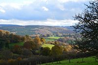 Landschap in de Ardennen