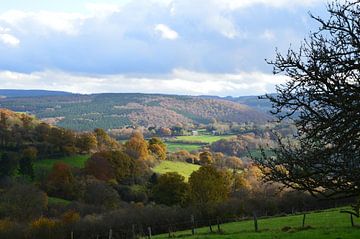 Landschap in de Ardennen van Kim V