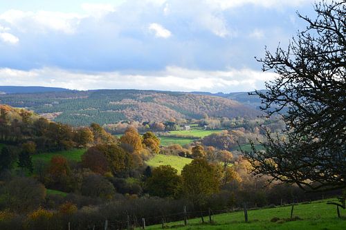 Landschap in de Ardennen