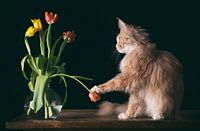 Wodan and his tulips