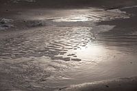Gevangen door het licht