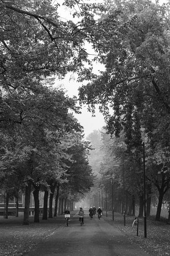 Cyclisme dans le parc