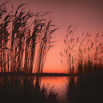 Zonsondergang Riet van FoXo Art