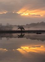 Reflexionen im Nebel