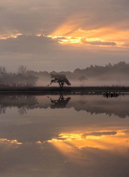 Reflections in the mist by Paul Begijn