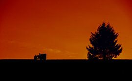 The farmer goes home