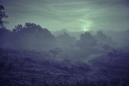 Duinlandschap in de mist