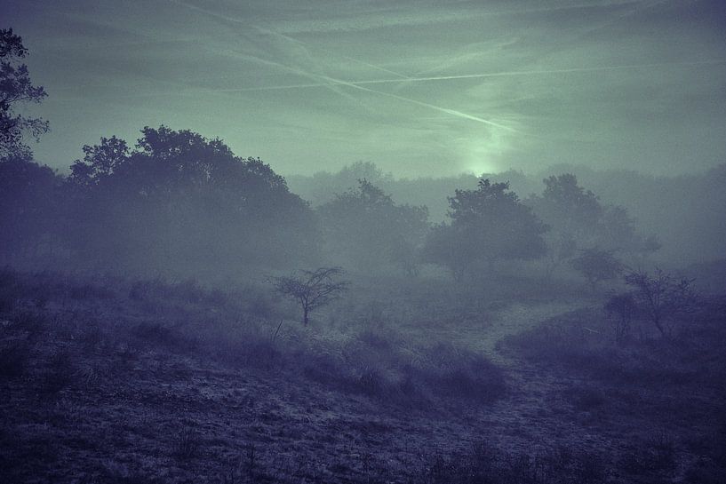 Dune landscape in the fog by Karel Ham