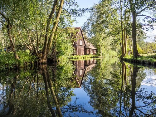 Spree-waterweg in het Spreewald