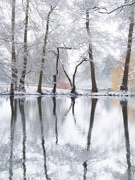 Winterstilte landgoed Oorsprong van Willemijn Wolthaus