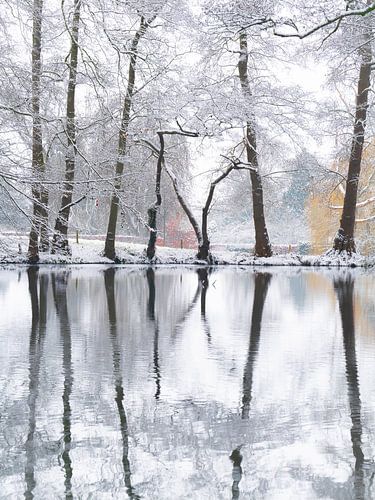 Winterstilte landgoed Oorsprong van Willemijn Wolthaus