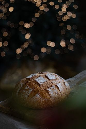 Warmth on a winter evening