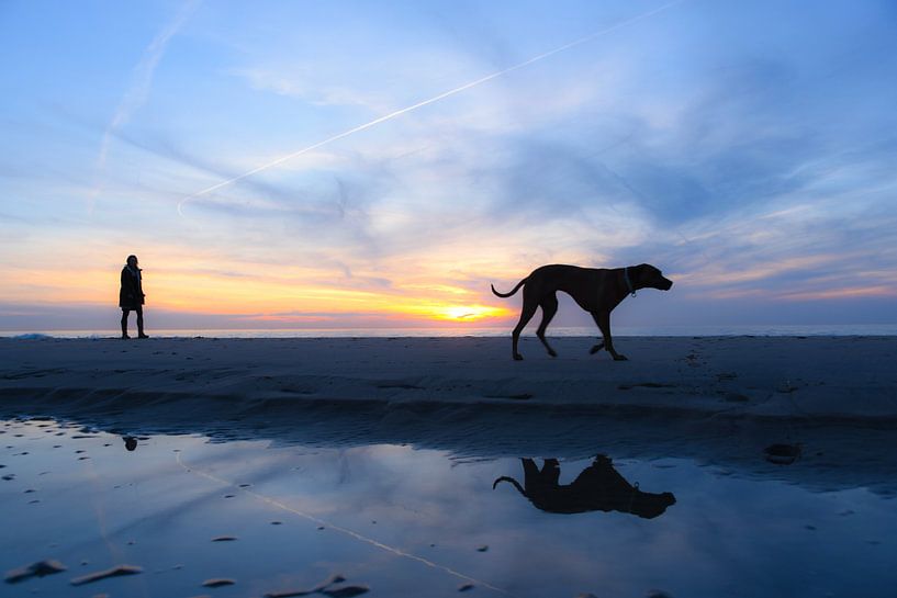 Reflectie par Jeanette van Starkenburg