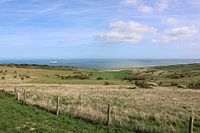 Grüne Dünen mit Blick auf das Meer