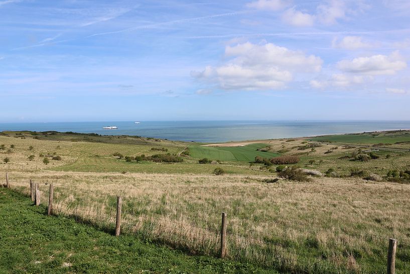 Grüne Dünen mit Blick auf das Meer von Gwendolyn Pronk