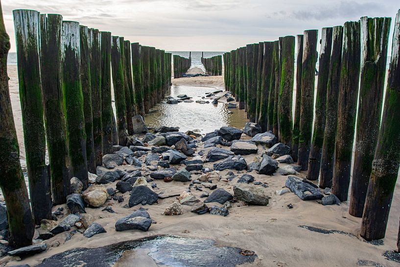 Zoutelande beach in December by Roland de Zeeuw