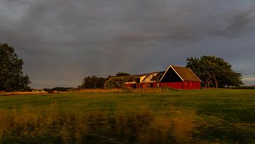 GOLDENE STUNDE || auf dem Bauernhof || Dänemark von Rita Kuenen