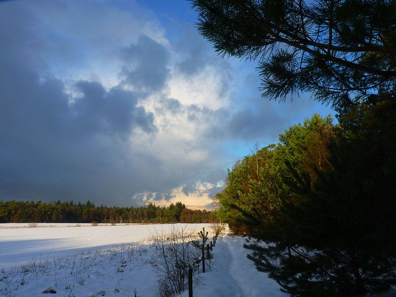 Winters beeld van M de Vos