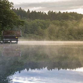 Brouillard mystique après la pluie sur un lac en Bavière, Allemagne sur Raphael Koch