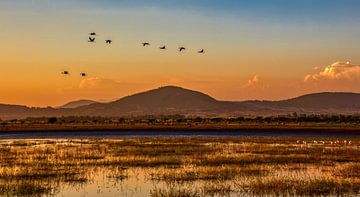 Lake in Ethiopia at sunset by Arie Maasland