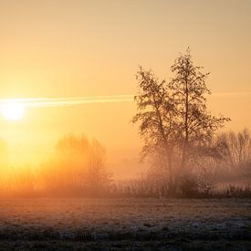 Frostiger Sonnenaufgang von Nils Steiner