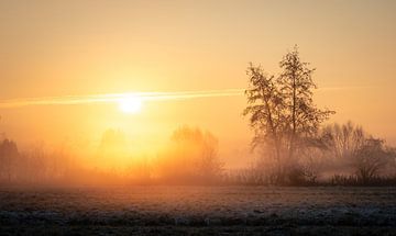 IJzige zonsopgang van Nils Steiner