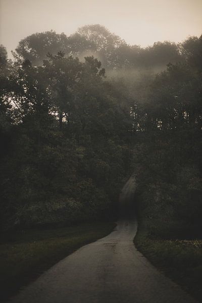 the way by Matthias Ettinger