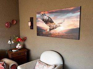 Der Flug des Adlers - Natur und Freiheit