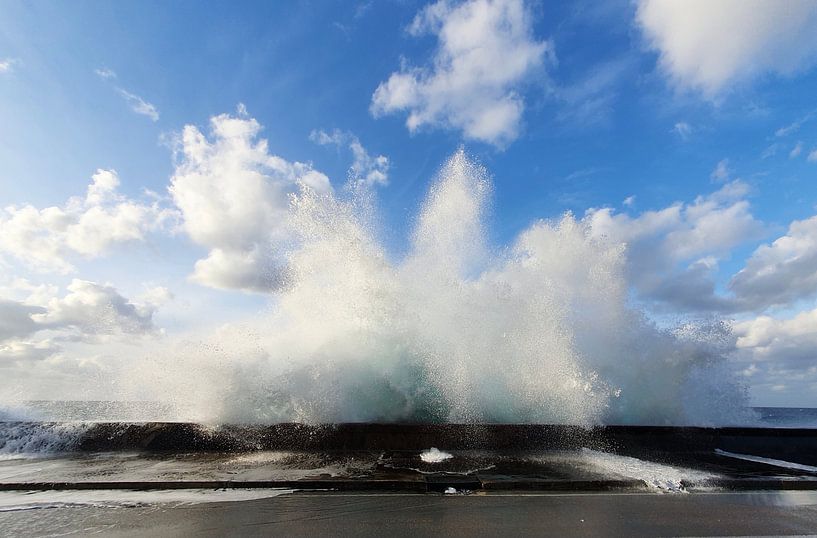 Stormy Atlantic in Havana, motif 3 by zam art