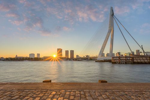 Erasmus Bridge in Rotterdam by Michael Valjak