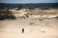 Eenzame wandelaar op zandverstuiving van Thomas Boelaars thumbnail