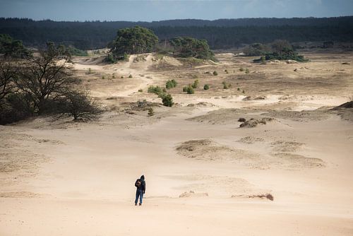 Eenzame wandelaar op zandverstuiving van Thomas Boelaars